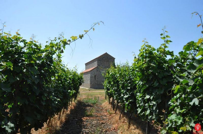 Weingut Khareba