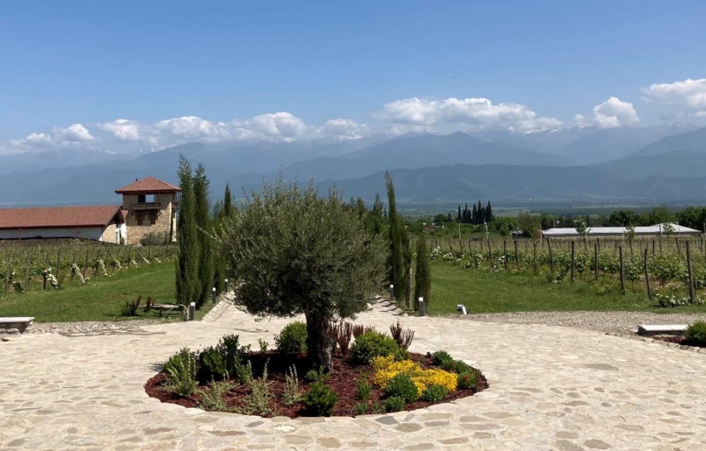 Weingut Mosmieri Quelle Georgienreisen